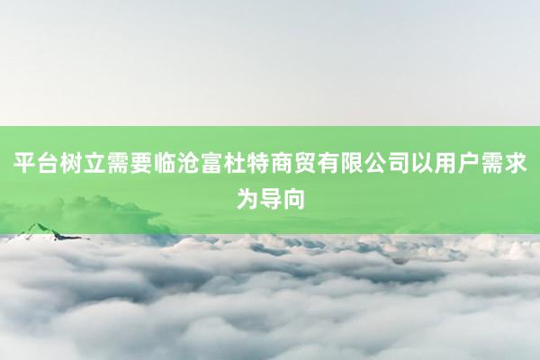 平台树立需要临沧富杜特商贸有限公司以用户需求为导向