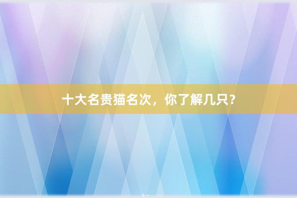 十大名贵猫名次，你了解几只？