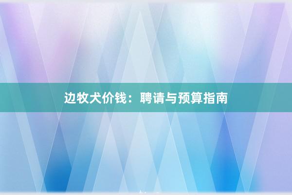 边牧犬价钱：聘请与预算指南