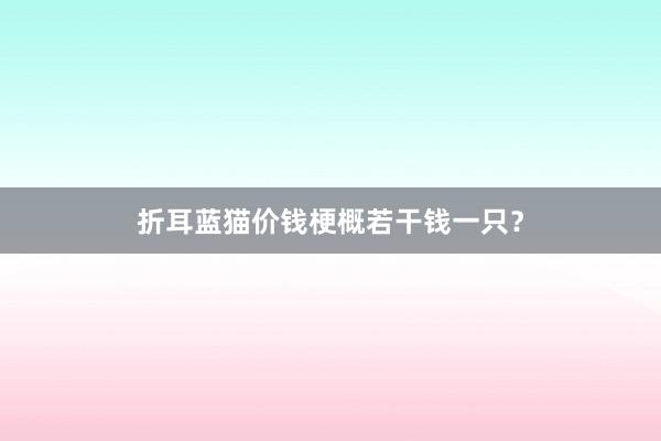 折耳蓝猫价钱梗概若干钱一只？
